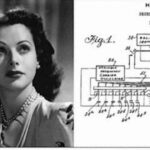 Hedylamarrfhop