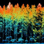 ULS_miniVUX-1DL_Forestry_Reflectance_001